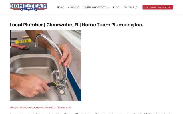 Home Team Plumbing and Drain Cleaning's page as the assistant saw it