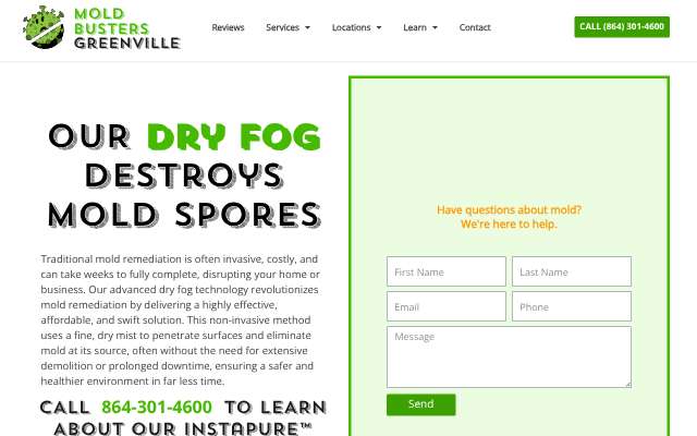 Mold Busters Greenville SC's page as the assistant saw it