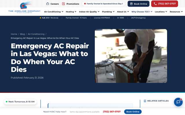 The Cooling Company's page as the assistant saw it