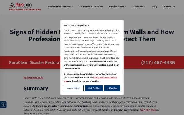 PuroClean (Greenfield/Indy)'s page as the assistant saw it