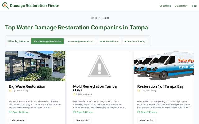 Revive Water Damage Restoration of Tampa's page as the assistant saw it