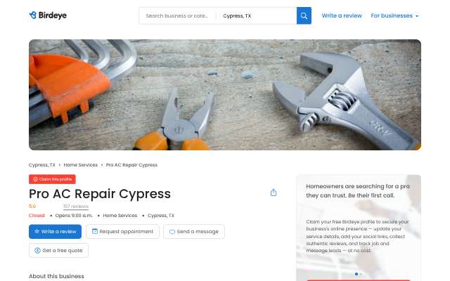 Pro AC Repair Cypress's page as the assistant saw it