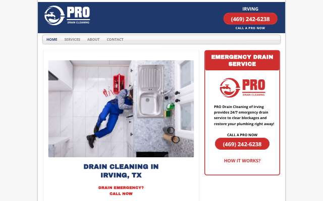 PRO Drain Cleaning of Irving's page as the assistant saw it