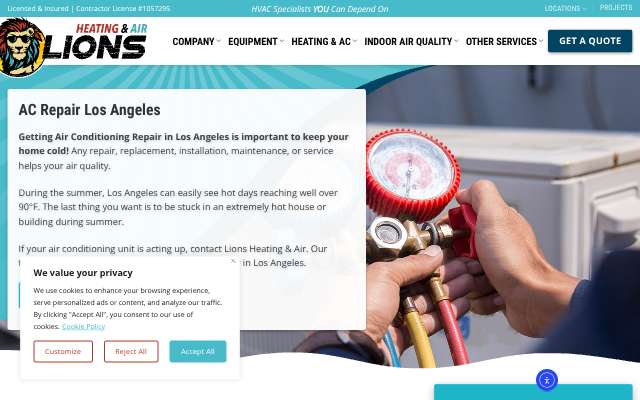 Lions Heating & Air's page as the assistant saw it