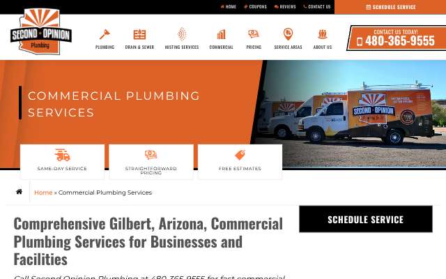 Second Opinion Plumbing's page as the assistant saw it