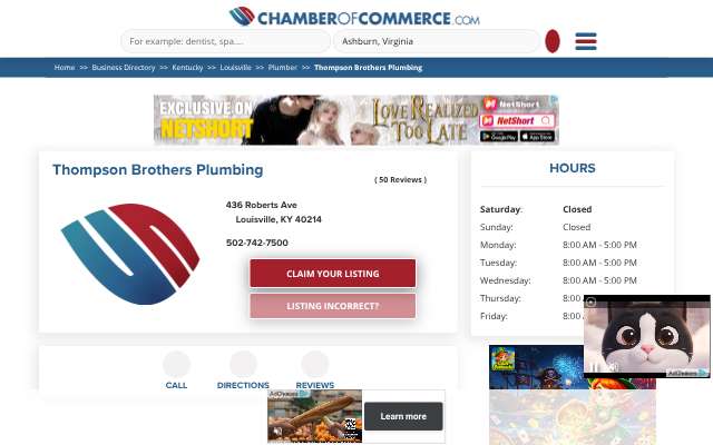 Thompson Brothers Plumbing's page as the assistant saw it