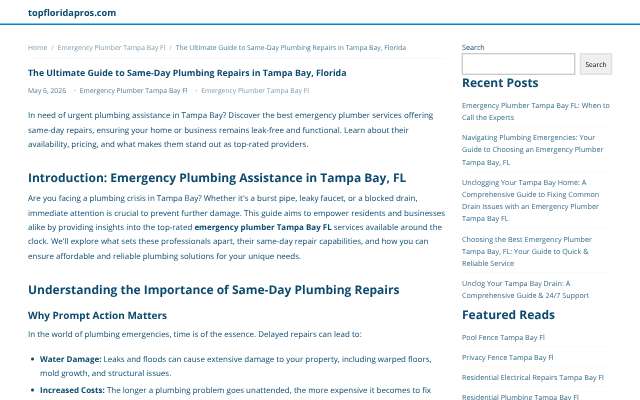 topfloridapros.com 'Ultimate Guide''s page as the assistant saw it