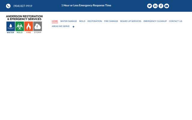 Anderson Restoration & Emergency Services's page as the assistant saw it