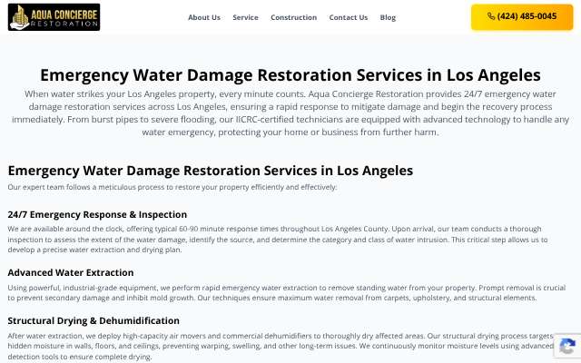 Aqua Concierge Restoration's page as the assistant saw it