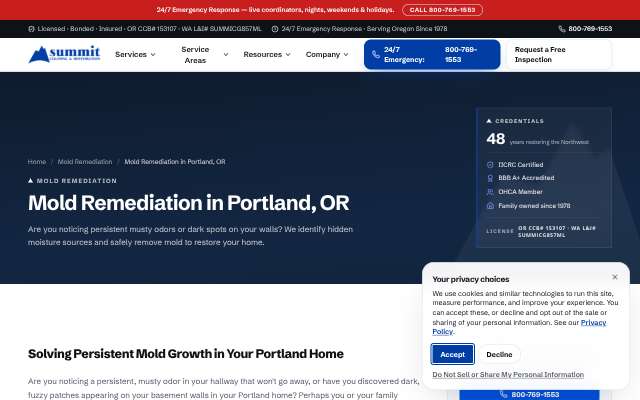 Summit Cleaning & Restoration's page as the assistant saw it