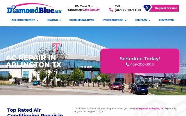 Diamond Blue Air's page as the assistant saw it