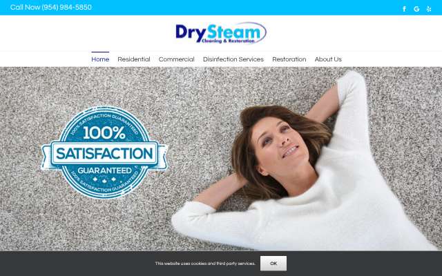 DrySteam Cleaning & Restoration's page as the assistant saw it