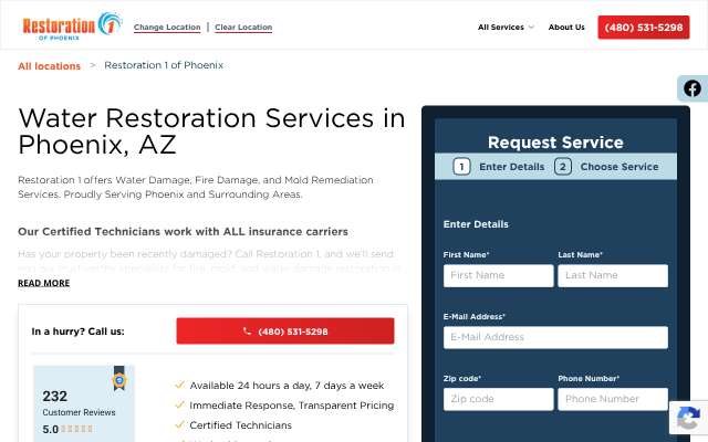 Restoration 1 of Phoenix's page as the assistant saw it
