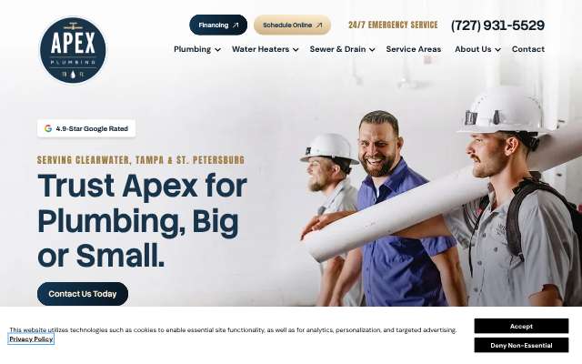 Apex Plumbing's page as the assistant saw it