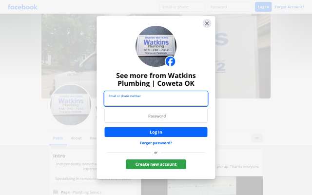 Watkins Plumbing's page as the assistant saw it