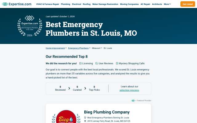 Expertise.com emergency plumber list's page as the assistant saw it