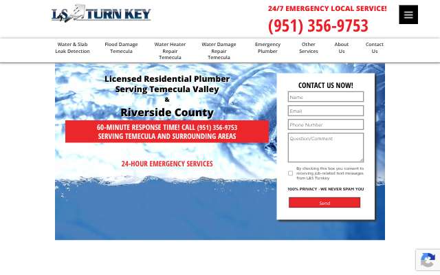 L&S TurnKey Plumbing & Restoration's page as the assistant saw it