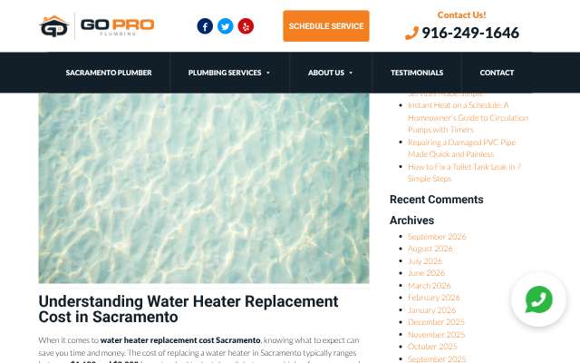 Go Pro Plumbing's page as the assistant saw it
