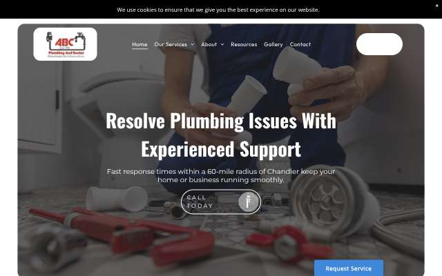 ABC Plumbing and Rooter's page as the assistant saw it