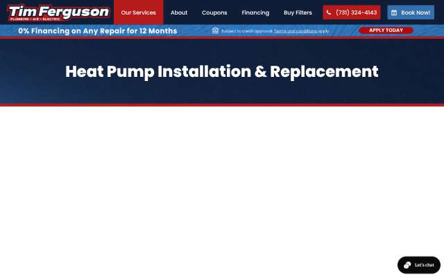 Tim Ferguson Plumbing, Air & Electric's page as the assistant saw it