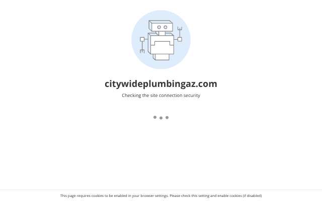 Page cited for City Wide Plumbing