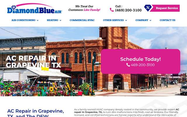 Diamond Blue Air & Plumbing's page as the assistant saw it