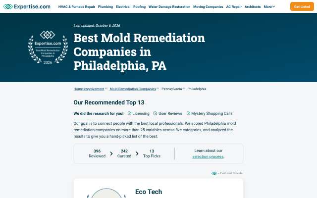 Mold Solutions & Inspections's page as the assistant saw it