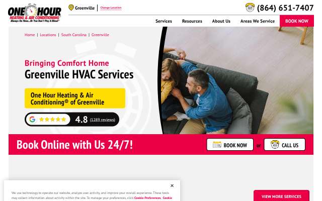 One Hour Heating & Air Conditioning of Greenville's page as the assistant saw it