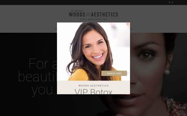 Page cited for Woods Aesthetics