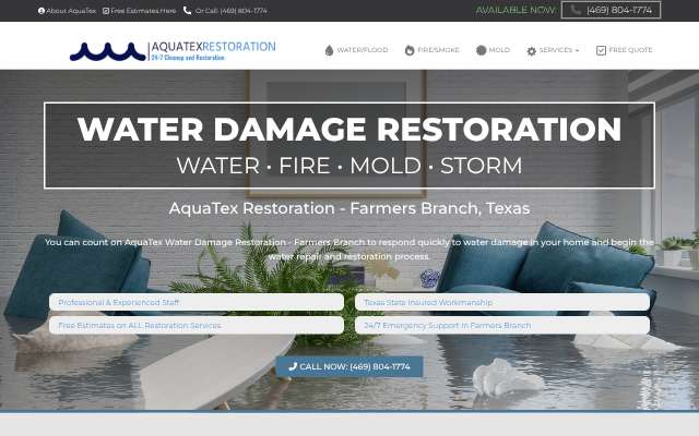 AquaTex Water Damage Restoration's page as the assistant saw it