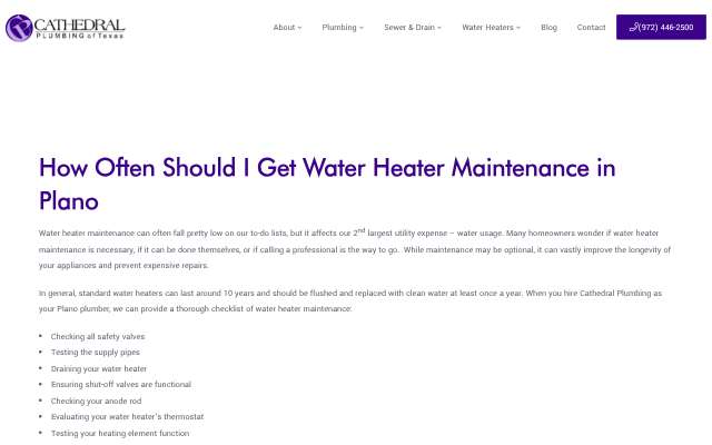 Cathedral Plumbing's page as the assistant saw it