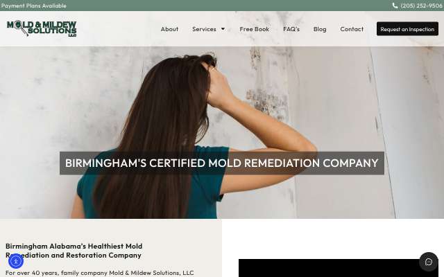 Mold & Mildew Solutions's page as the assistant saw it