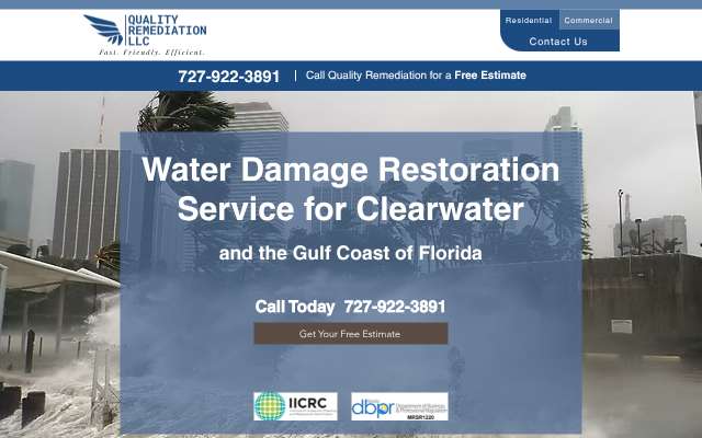 Page cited for Quality Remediation
