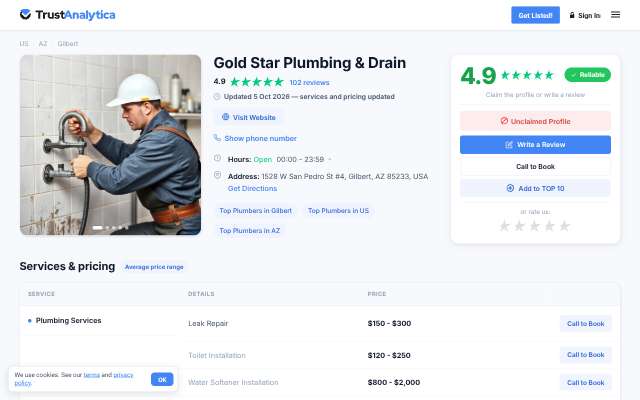 Gold Star Plumbing & Drain's page as the assistant saw it