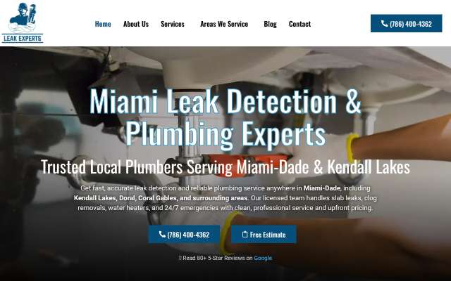 Leak Experts's page as the assistant saw it