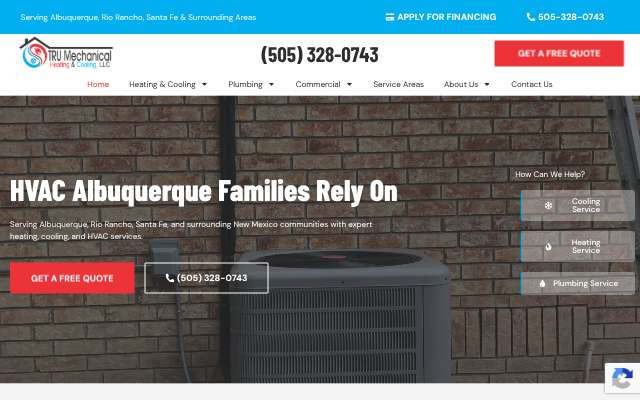 Tru Mechanical Heating & Cooling's page as the assistant saw it