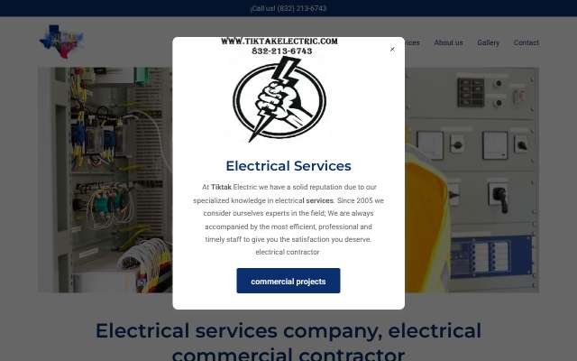 TikTak Electric's page as the assistant saw it