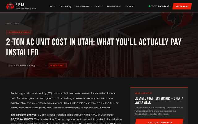 Ninja Plumbing, Heating and Air's page as the assistant saw it
