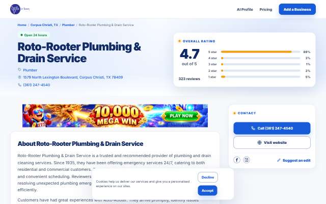 Roto-Rooter Plumbing & Drain Service's page as the assistant saw it