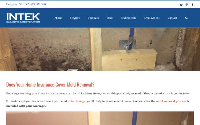 Intek Cleaning & Restoration's page as the assistant saw it