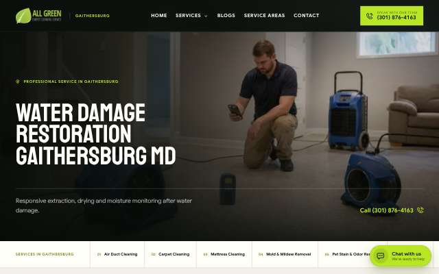 All Green Carpet Clean's page as the assistant saw it