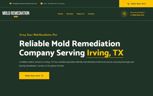 Irving Texas Mold Remediation Pros (drymastermoldremoval.com)'s page as the assistant saw it