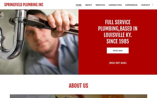 Springfield Plumbing Inc.'s page as the assistant saw it