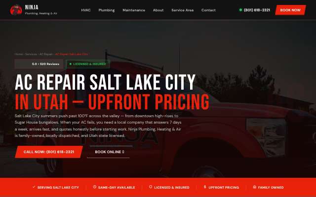 Ninja Plumbing, Heating & Air's page as the assistant saw it