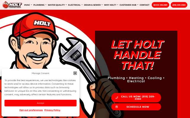 Holt Plumbing and Heating's page as the assistant saw it
