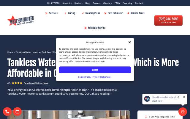 Western Rooter & Plumbing's page as the assistant saw it