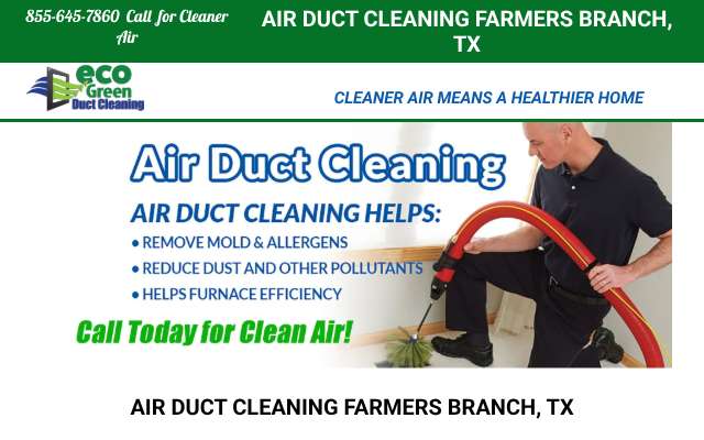 Eco Green Duct Cleaning's page as the assistant saw it