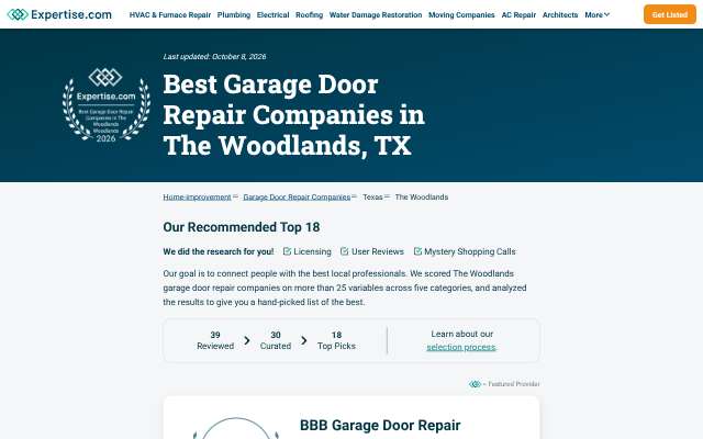 The Woodlands Garage Door Service's page as the assistant saw it