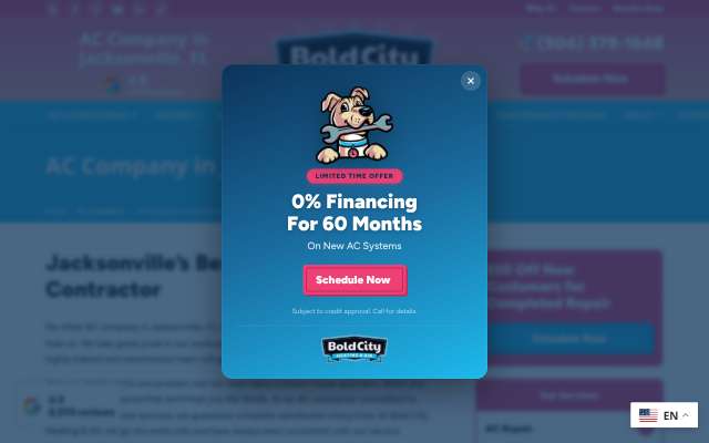 Bold City Heating & Air's page as the assistant saw it