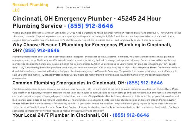 Rescue 1 Plumbing's page as the assistant saw it